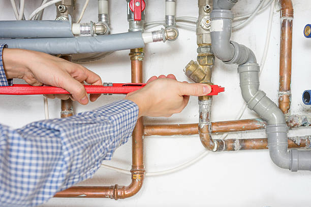 Best Trenchless Pipe Repair  in Fobes Hill, WA